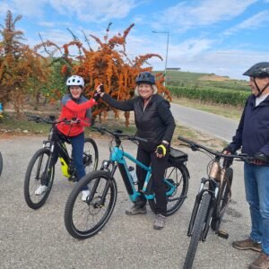 Biciclete electrice si pentru persoane peste 60 ani